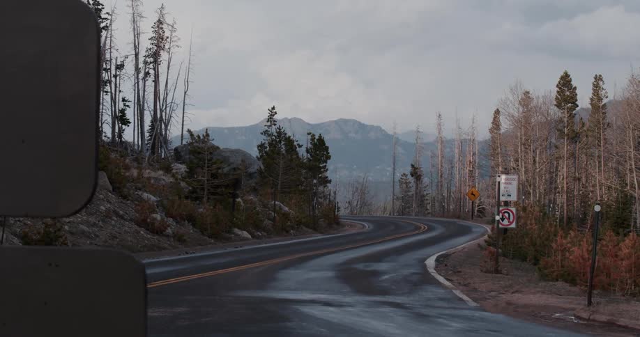 The winding highway goes through the woods