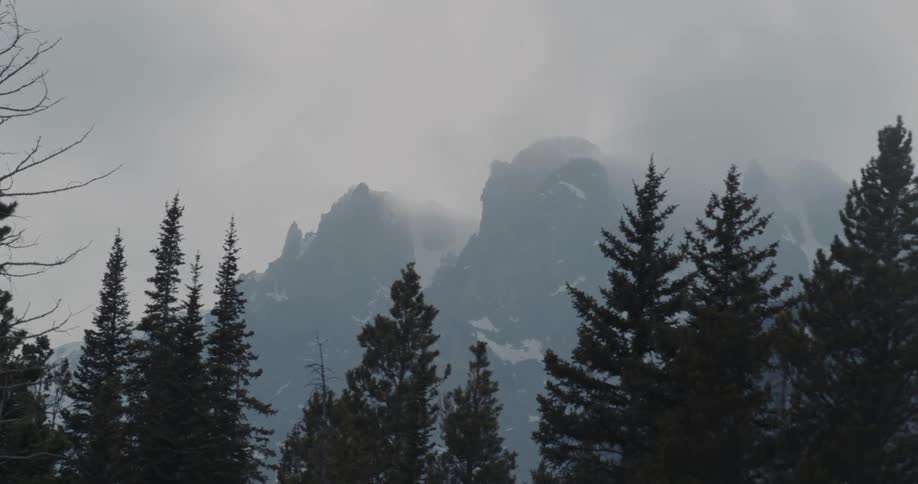 A mostly evergreen forest with mountains in the background on cloudy and foggy day