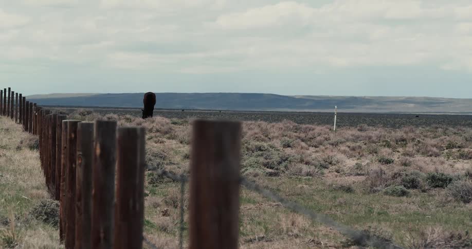 A wide shot of a landscape