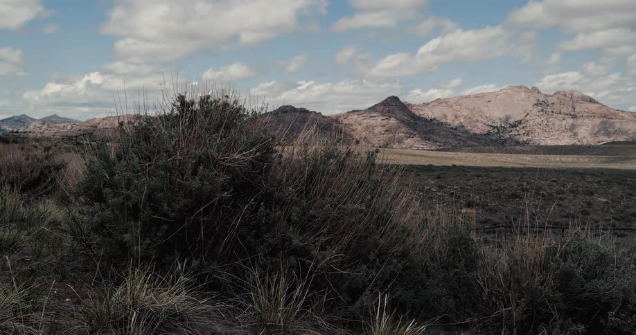 Wide shot of nature at midday
