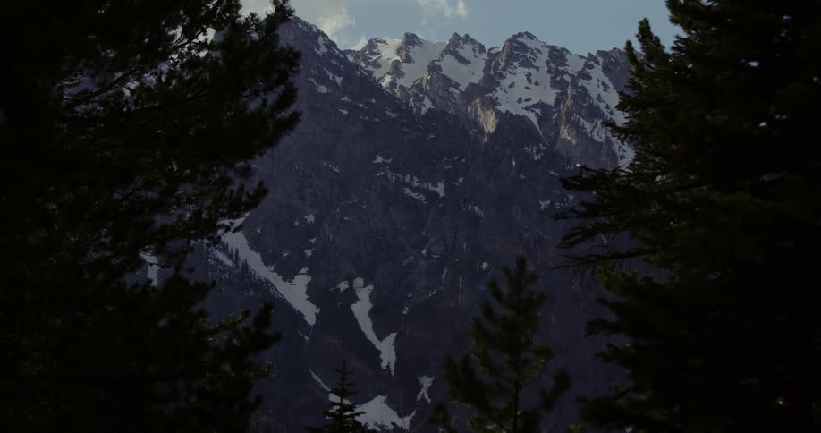 Snow topped mountain is visible through conifer forest on foggy day under a cloudy sky