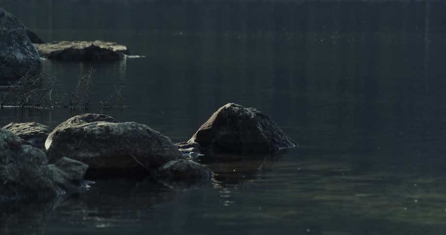 Bank of still lake with stones