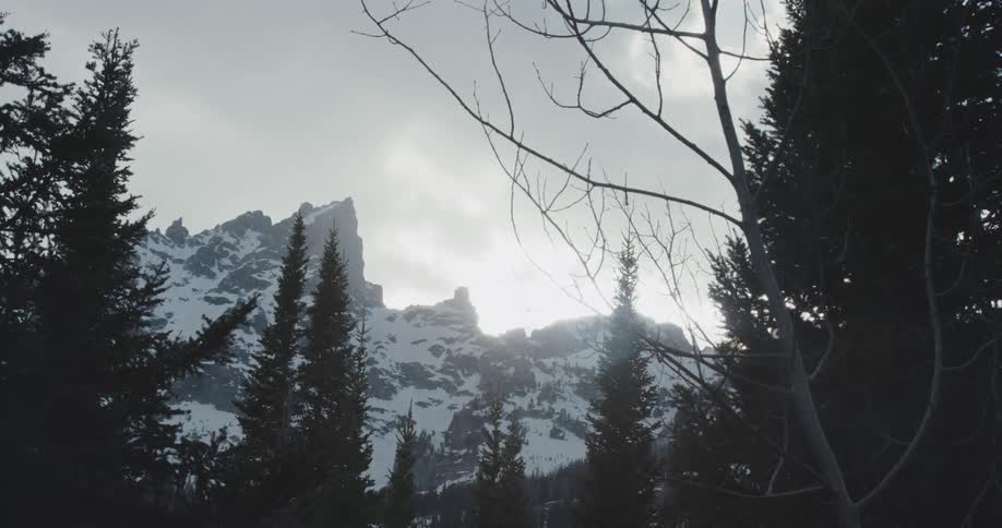 Trees stand tall in front of snow covered mountains under a cloudy sky