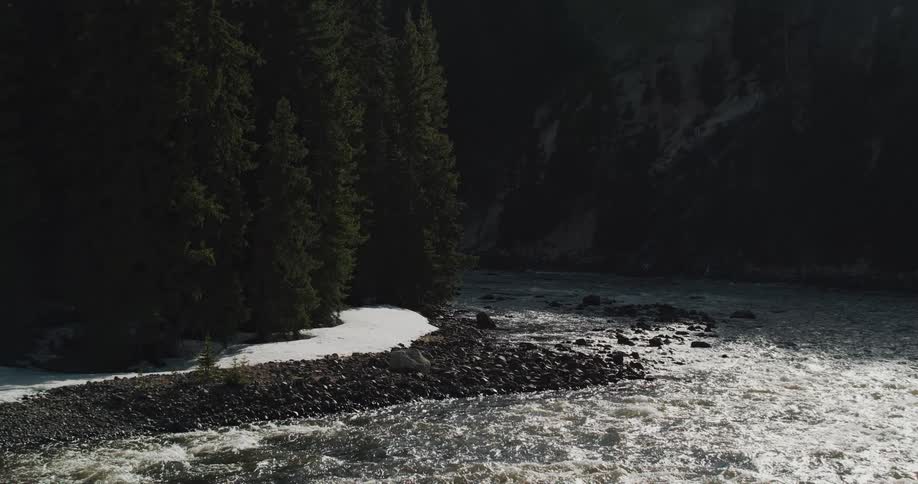 A view of a river running through a forest
