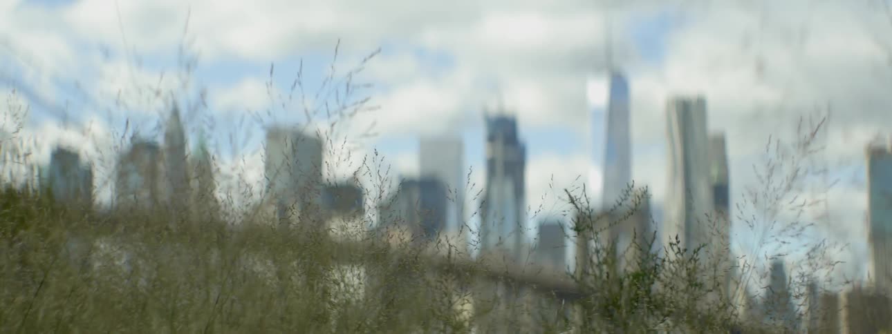 View of a city with the view going down into tall grass