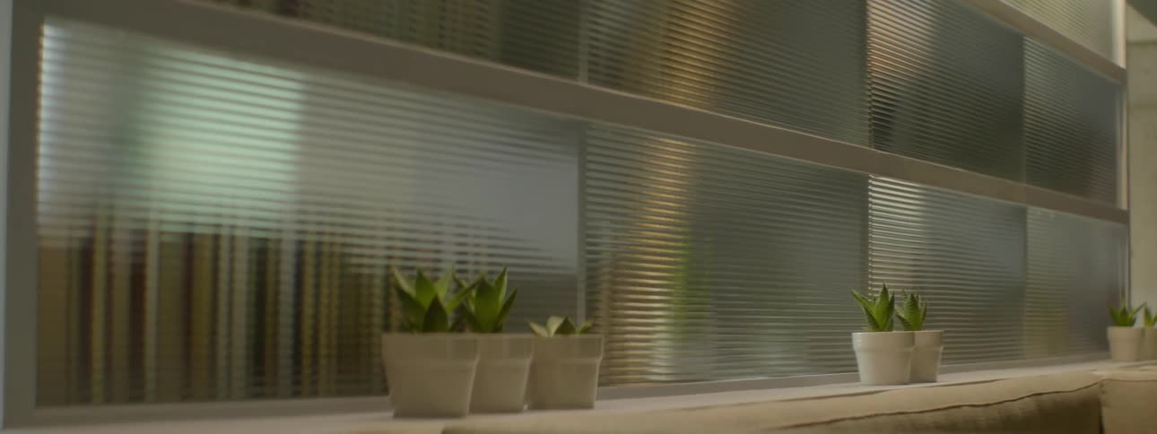 Plants in pots sit on this window sill