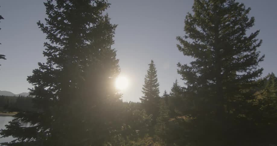 A lake surrounded by trees with the sun the sky and clouds in the background