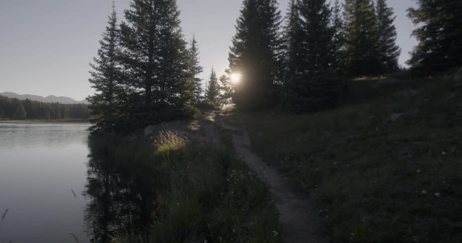 The sun shines through the trees along a forest lake