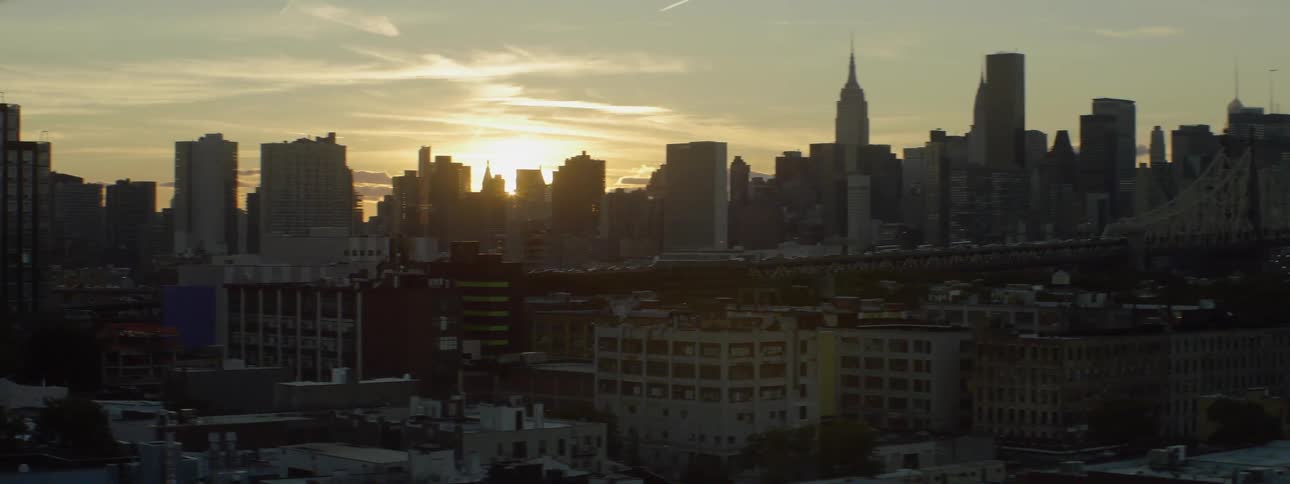 Girl In New York City