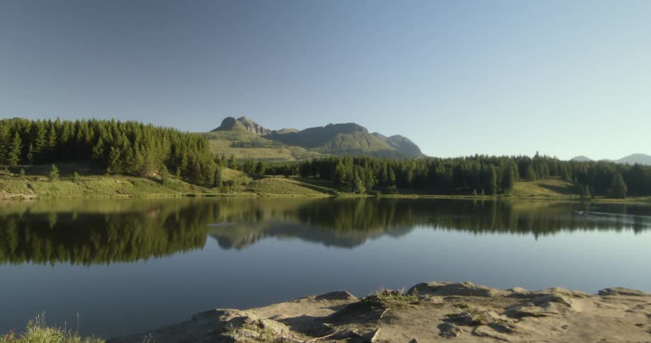 Aerial view of a lake in front of a pine tree forest near the mountains at morning