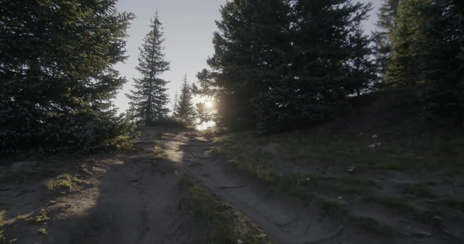 A hill with dirt plants and trees with the sky and clouds in the background