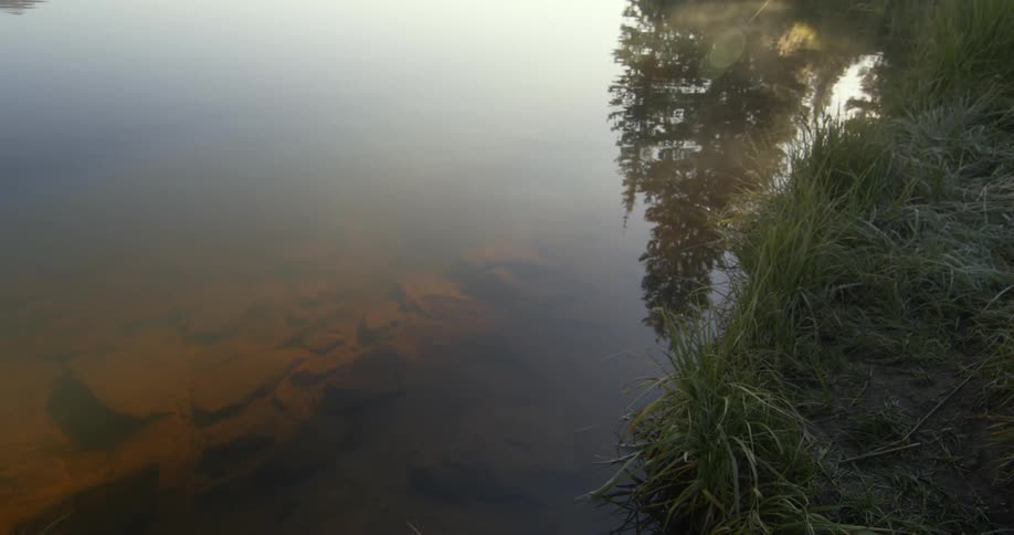 A view of sediments and rocks in a lake in a forest during the daytime