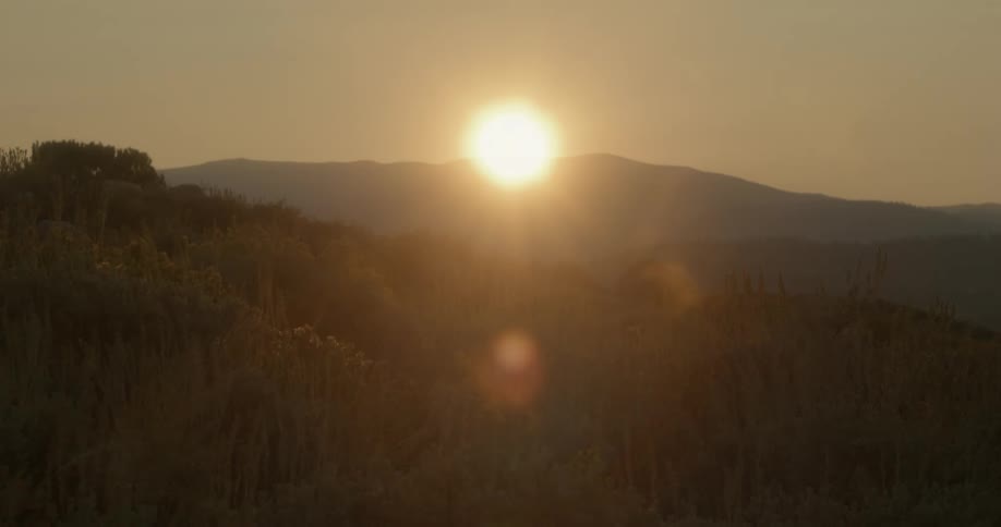 Tall grass moves in the breeze as the sun shines brightly above a mountain in the distance