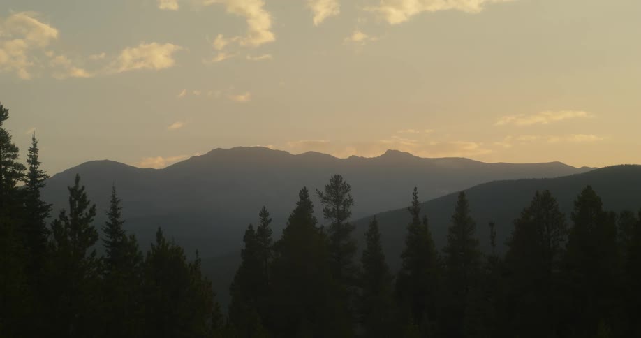 The tall trees lead to the mountain range