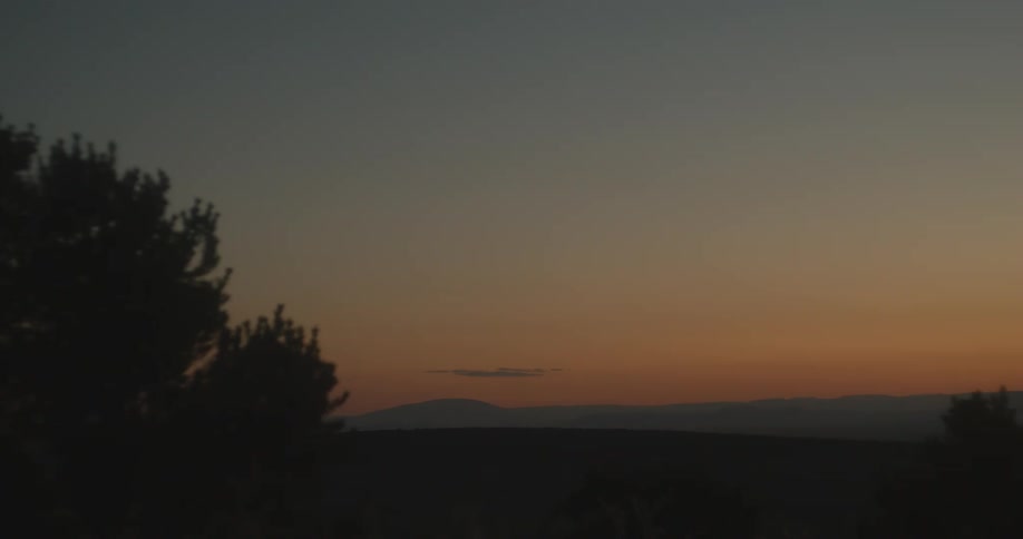 Silhouettes of trees high in a red sky at dusk