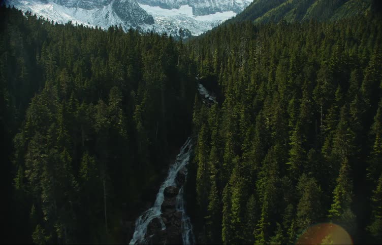 Aerial view of river flowing through a pine tree forest near the mountains