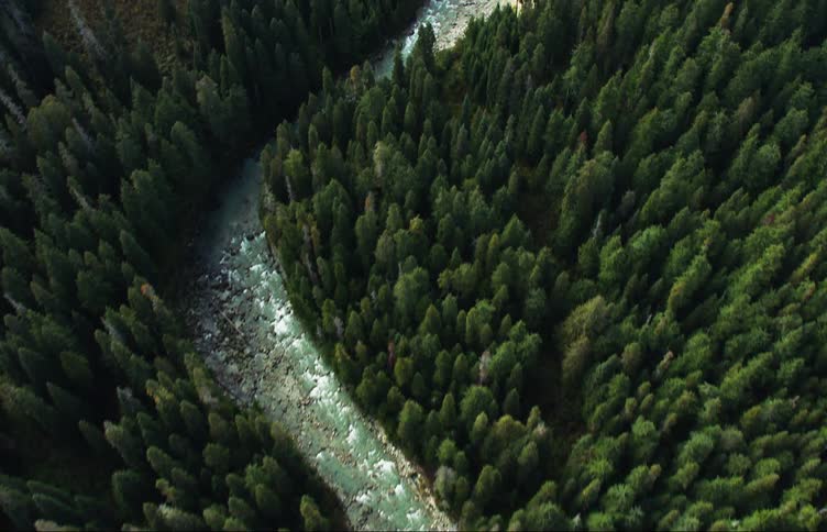 Aerial view of winding river flowing in the dense forest