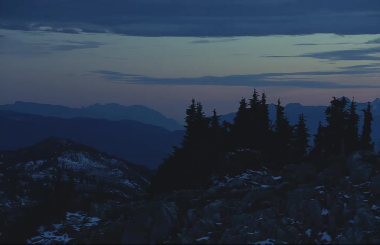Trees are on the peak of the mountain