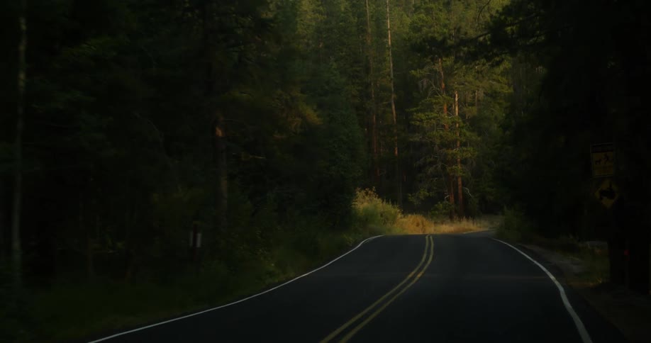Traveling on a road through a forest and passing a street sign