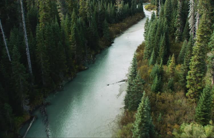 A river winding through an evergreen forest during the day