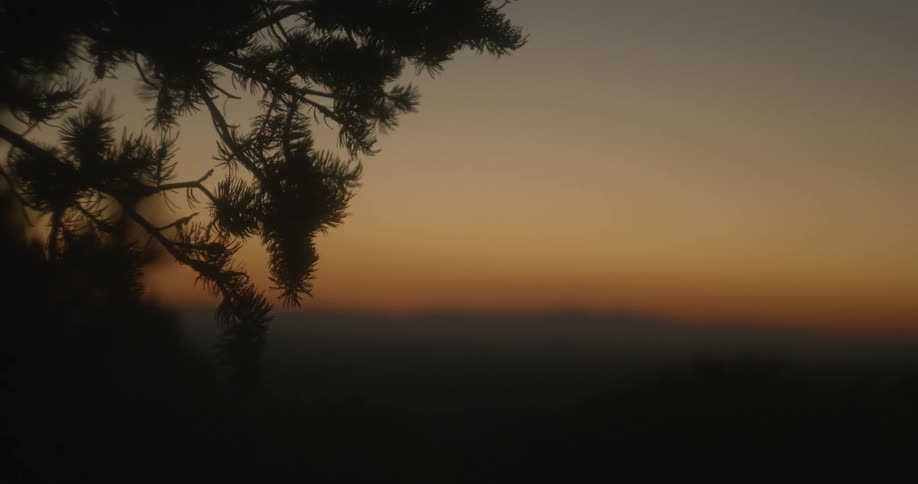 A tree with branches in the foreground with a landscape the sky and clouds in the background