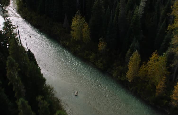 An aerial view of a river flowing through a forest