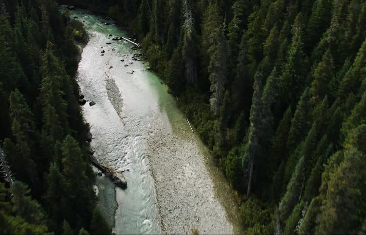 Aerial view of a river flowing through a pine tree forest in the mountainstion