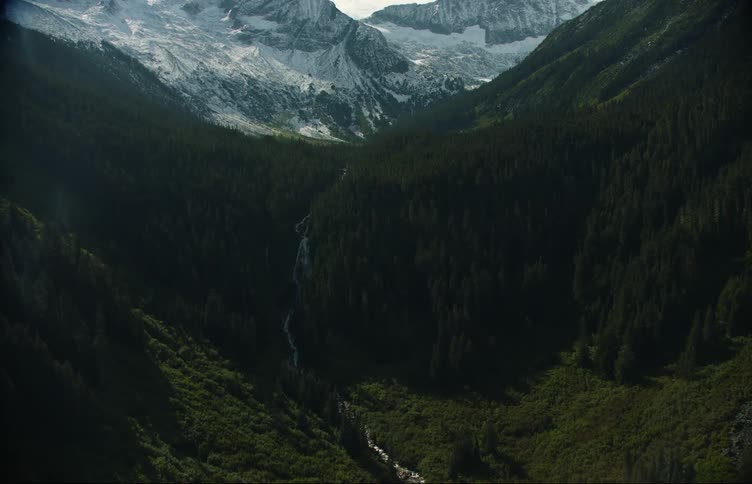 A stream flows through a forested valley with snow covered mountains in the distance