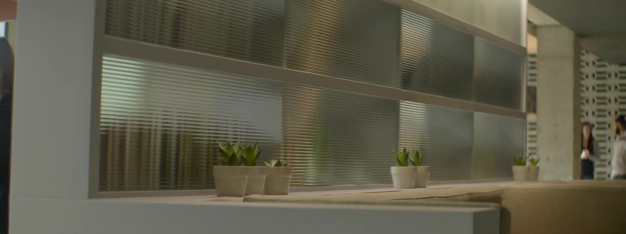 Potted plants sitting in a modern home