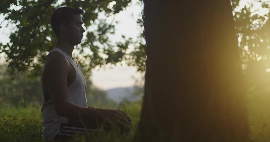 A man sitting on grass with a tree in the foreground with the sky and clouds in the background