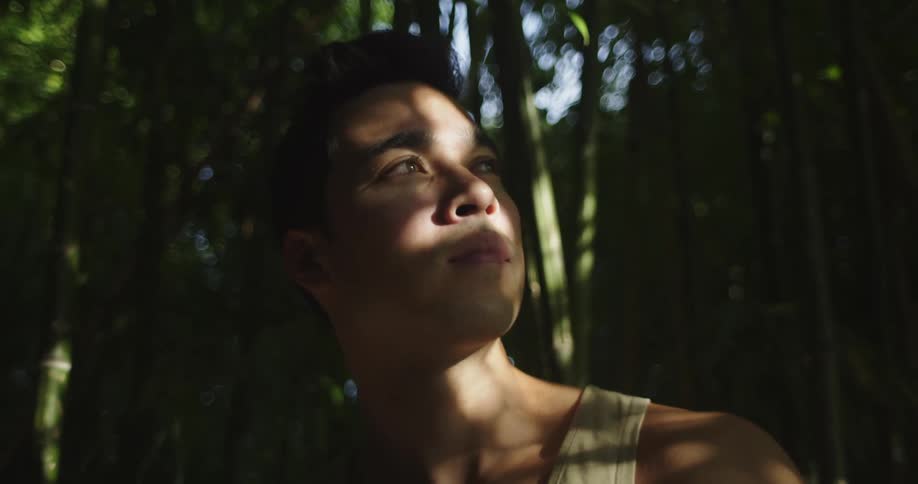 Man stands in forest looking up toward sky as filtered sunlight shines onto his face