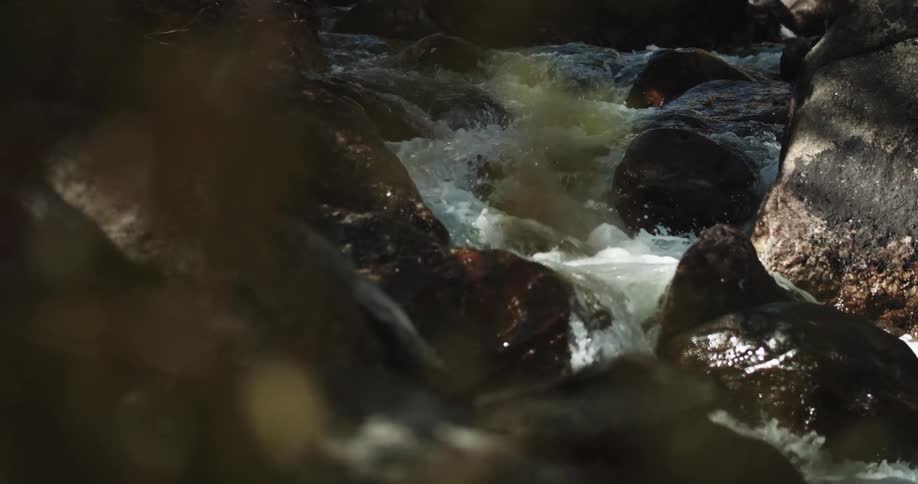 River flowing over the rocks in the forest at morning