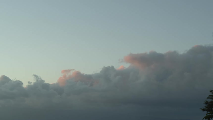 Storm clouds fill the sky as a person bends down by a tree