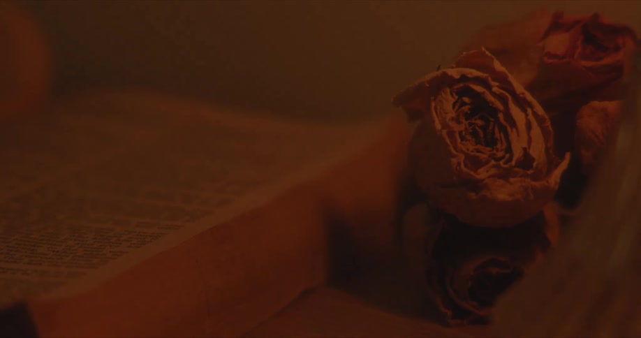 Dried roses near an open book over a table under flickering red lights