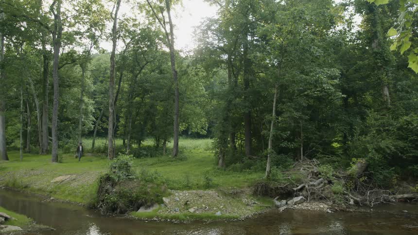 A person walking with a stream in the foreground with trees the sky and clouds in the background