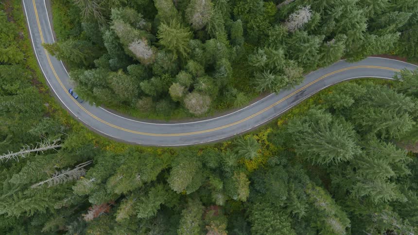 Birds eye view of a blue pickup truck traveling on a winding forest road