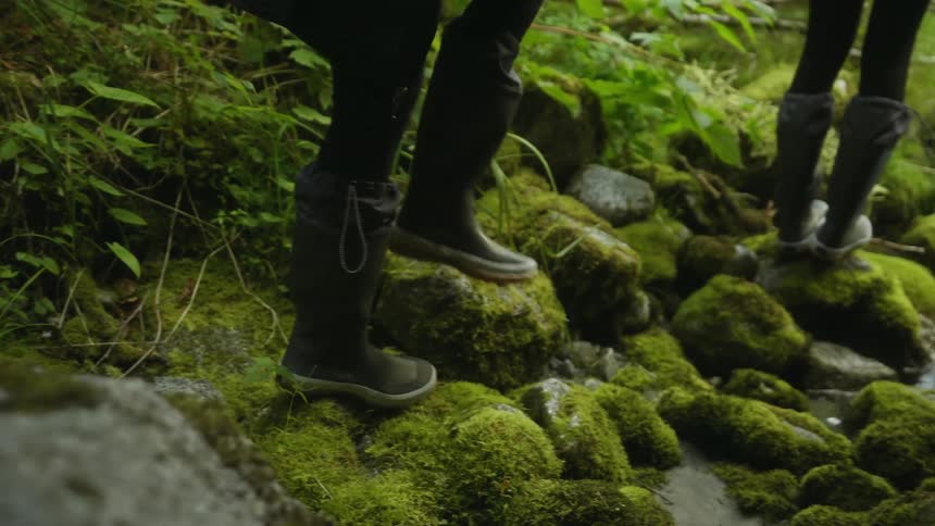 People hiking outdoors