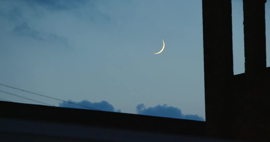A crescent moon is in the sky above the trees