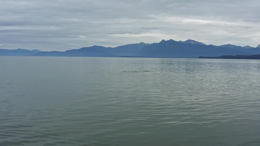 A whale jumping out of a body of water with a mountain range the sky and clouds in the background