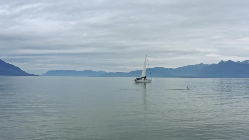 Boat traveling across water