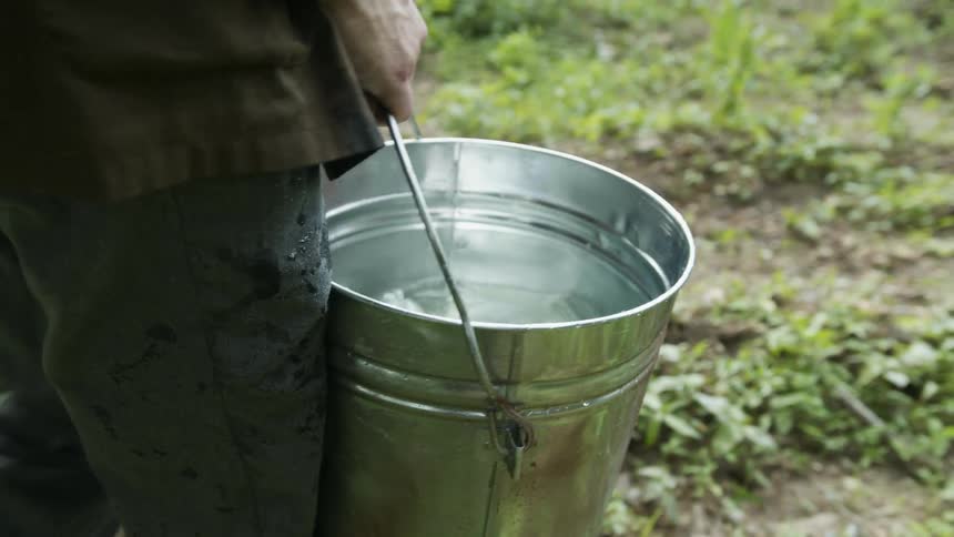 A man is carrying a bucket full of water towards the forest