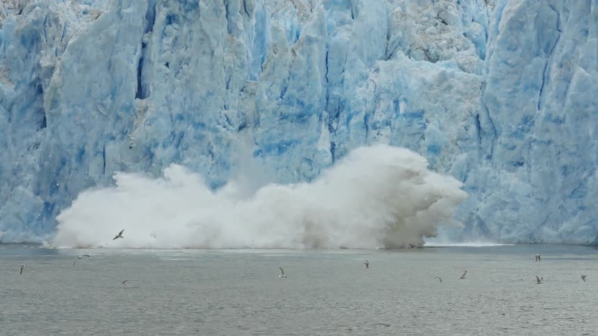 A large chunk of ice falls off of an iceberg in to the ocean as bird fly around