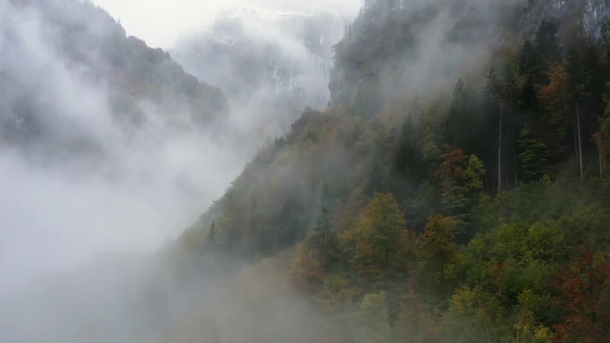 Fog and clouds hang over tree covered mountain slopes and valley