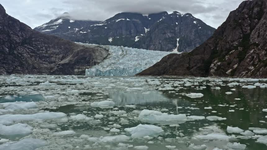 Water dotted with floating ice reflects mountains and glacier as bird flies by