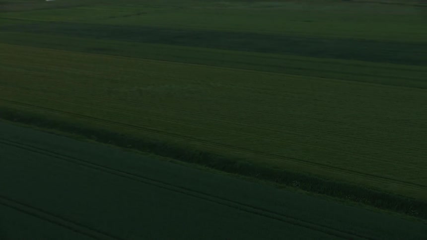 Long green fields reach out on the horizon