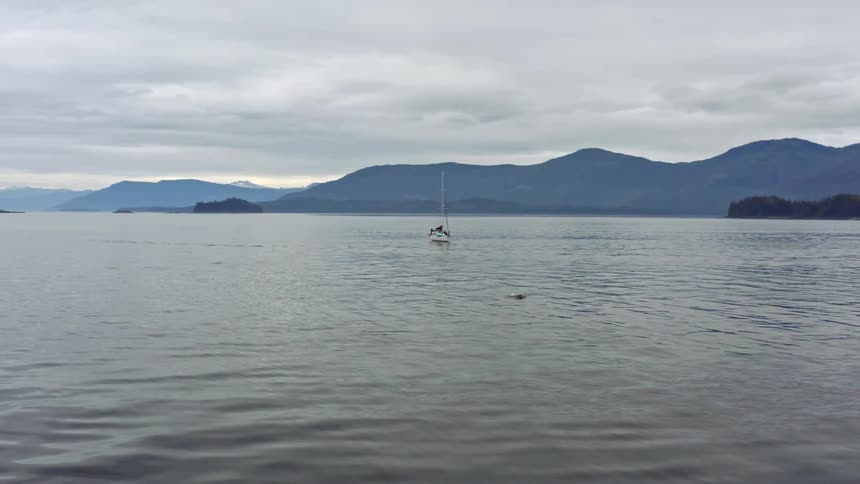 A boat is anchored in the middle of the water