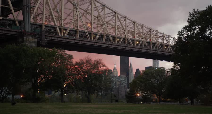 Dog runs around park under bridge as city skyline contrasts with red sky in background