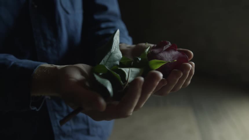 Rose being crushed by the hands of a man standing inside a dark room