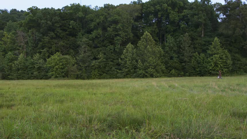 A person walks through a vast field while carrying a bucket