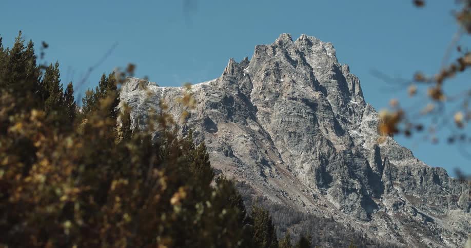 Leaves on trees are moving in the breeze and a mountain ridge high in a clear blue sky is in the distance